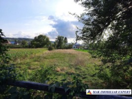 teren-intravilan-2032-mp-contesti-davidesti-arges