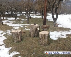 teren-2000-mp-intravilan-in-cretisoara-campulung-muscel-ag