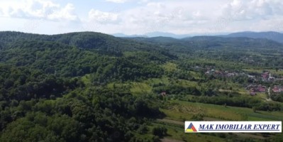 casa-vacanta-9-camere-teren-5500-mp-in-vladesti-arges-11
