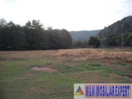 casa-vacanta-9-camere-teren-5500-mp-in-vladesti-arges-8