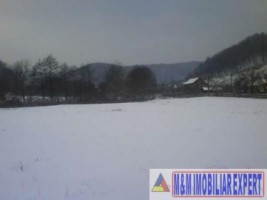 casa-vacanta-9-camere-teren-5500-mp-in-vladesti-arges-9