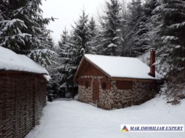 vila-pensiune-11-camere-teren-14-ha-rucar-arges-6