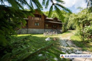 vila-pensiune-11-camere-teren-14-ha-rucar-arges-3