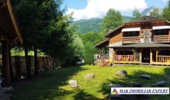 vila-pensiune-11-camere-teren-14-ha-rucar-arges-2