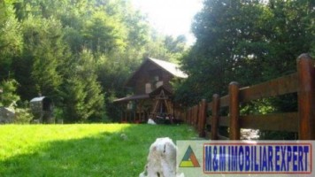 vila-pensiune-11-camere-teren-14-ha-rucar-arges-9