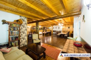 vila-pensiune-11-camere-teren-14-ha-rucar-arges-10