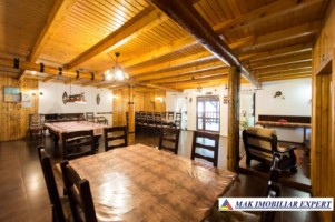 vila-pensiune-11-camere-teren-14-ha-rucar-arges-13