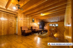 vila-pensiune-11-camere-teren-14-ha-rucar-arges-11