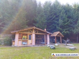 vila-pensiune-11-camere-teren-14-ha-rucar-arges-8