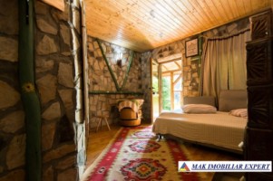 vila-pensiune-11-camere-teren-14-ha-rucar-arges-21