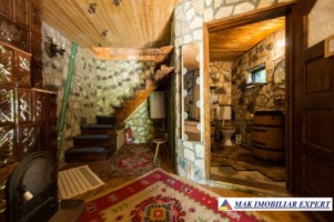 vila-pensiune-11-camere-teren-14-ha-rucar-arges-17