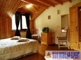 vila-pensiune-11-camere-teren-14-ha-rucar-arges-24