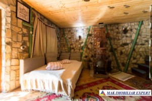 vila-pensiune-11-camere-teren-14-ha-rucar-arges-23