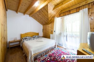 vila-pensiune-11-camere-teren-14-ha-rucar-arges-26