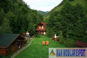 vila-pensiune-11-camere-teren-14-ha-rucar-arges-37