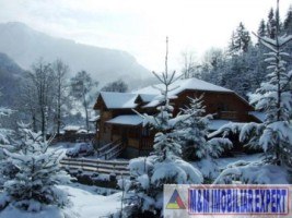 vila-pensiune-11-camere-teren-14-ha-rucar-arges-36