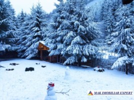 vila-pensiune-11-camere-teren-14-ha-rucar-arges-34