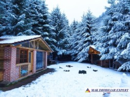 vila-pensiune-11-camere-teren-14-ha-rucar-arges-35