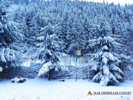 vila-pensiune-11-camere-teren-14-ha-rucar-arges-38