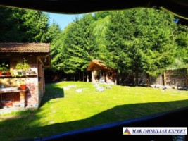 vila-pensiune-11-camere-teren-14-ha-rucar-arges-39