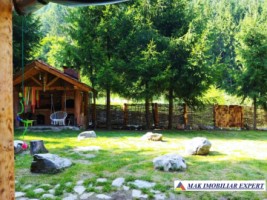 vila-pensiune-11-camere-teren-14-ha-rucar-arges-42