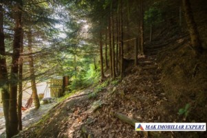 vila-pensiune-11-camere-teren-14-ha-rucar-arges-46