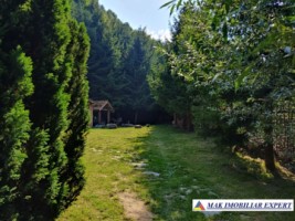 vila-pensiune-11-camere-teren-14-ha-rucar-arges-45