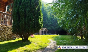 vila-pensiune-11-camere-teren-14-ha-rucar-arges-44