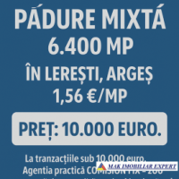 vand-padure-mixta-6400-mp-in-leresti-arges