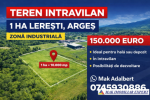 vand-teren-1-ha-intravilan-in-leresti-arges