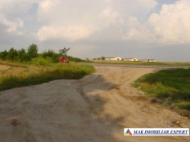 teren-extravilan-328-ha-de-vanzare-in-ghimpati-giurgiu-2
