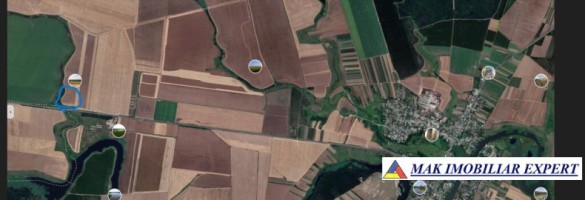 teren-extravilan-328-ha-de-vanzare-in-ghimpati-giurgiu-10