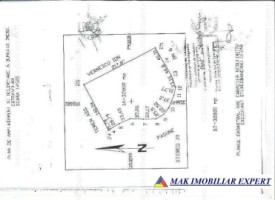 teren-extravilan-328-ha-de-vanzare-in-ghimpati-giurgiu-19