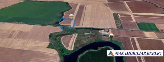 teren-extravilan-328-ha-de-vanzare-in-ghimpati-giurgiu-15