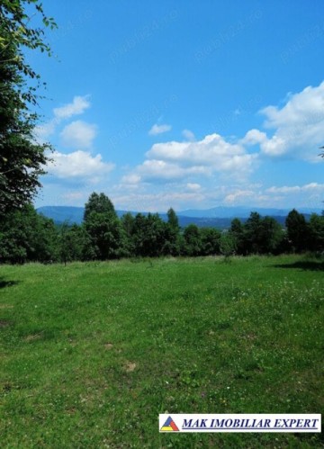 teren-extravilan-4900-mp-in-albestii-de-muscel-arges-3