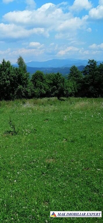 teren-extravilan-4900-mp-in-albestii-de-muscel-arges-1