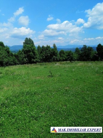 teren-extravilan-4900-mp-in-albestii-de-muscel-arges-2