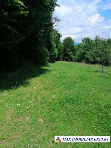 teren-extravilan-4900-mp-in-albestii-de-muscel-arges-4