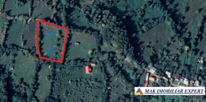 teren-extravilan-4900-mp-in-albestii-de-muscel-arges-5