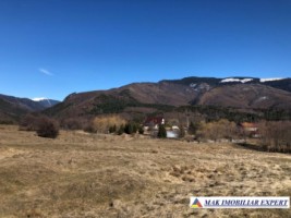 de-vanzare-teren-125-ha-intravilan-in-nucsoara-arges-4