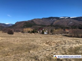 de-vanzare-teren-125-ha-intravilan-in-nucsoara-arges-5