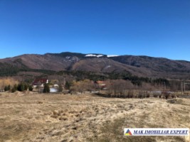 de-vanzare-teren-125-ha-intravilan-in-nucsoara-arges-7