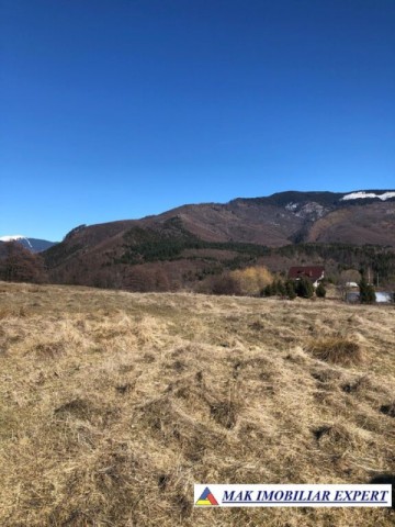 de-vanzare-teren-125-ha-intravilan-in-nucsoara-arges-8