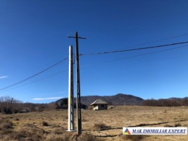 de-vanzare-teren-125-ha-intravilan-in-nucsoara-arges-13