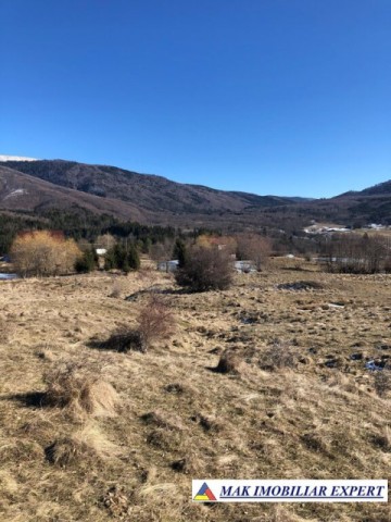 de-vanzare-teren-125-ha-intravilan-in-nucsoara-arges-9