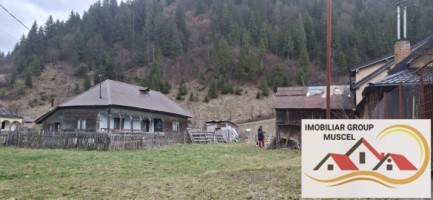 vanzare-casa-in-satic-cu-3-camere-si-bucatari-anexaimpreuna-cu-teren-intravilan-in-suprafata-de-2723-mp-la-pretul-de-65000-euro-negociabil-e-4