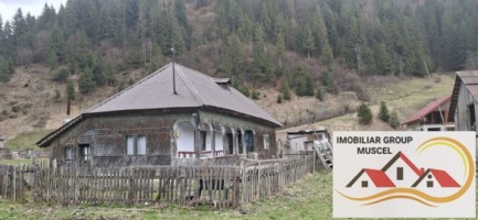 vanzare-casa-in-satic-cu-3-camere-si-bucatari-anexaimpreuna-cu-teren-intravilan-in-suprafata-de-2723-mp-la-pretul-de-65000-euro-negociabil-e-2