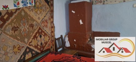 vanzare-casa-in-satic-cu-3-camere-si-bucatari-anexaimpreuna-cu-teren-intravilan-in-suprafata-de-2723-mp-la-pretul-de-65000-euro-negociabil-e-11