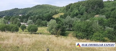 teren-3000-mp-proiect-in-namaesti-valea-mare-pravat-arges-3