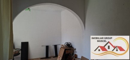 vanzare-vila-interbelica-ultracentral-decomandata-cu-6-camere-3-bai-3-holuri-bucatarie-si-terasa-cu-o-suprafata-de-teren-282-mp-super-oferta-pret-de-80000-de-euro-negociabil-11